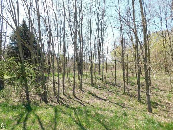3.3 Acres of Residential Land for Sale in Dryden, Michigan