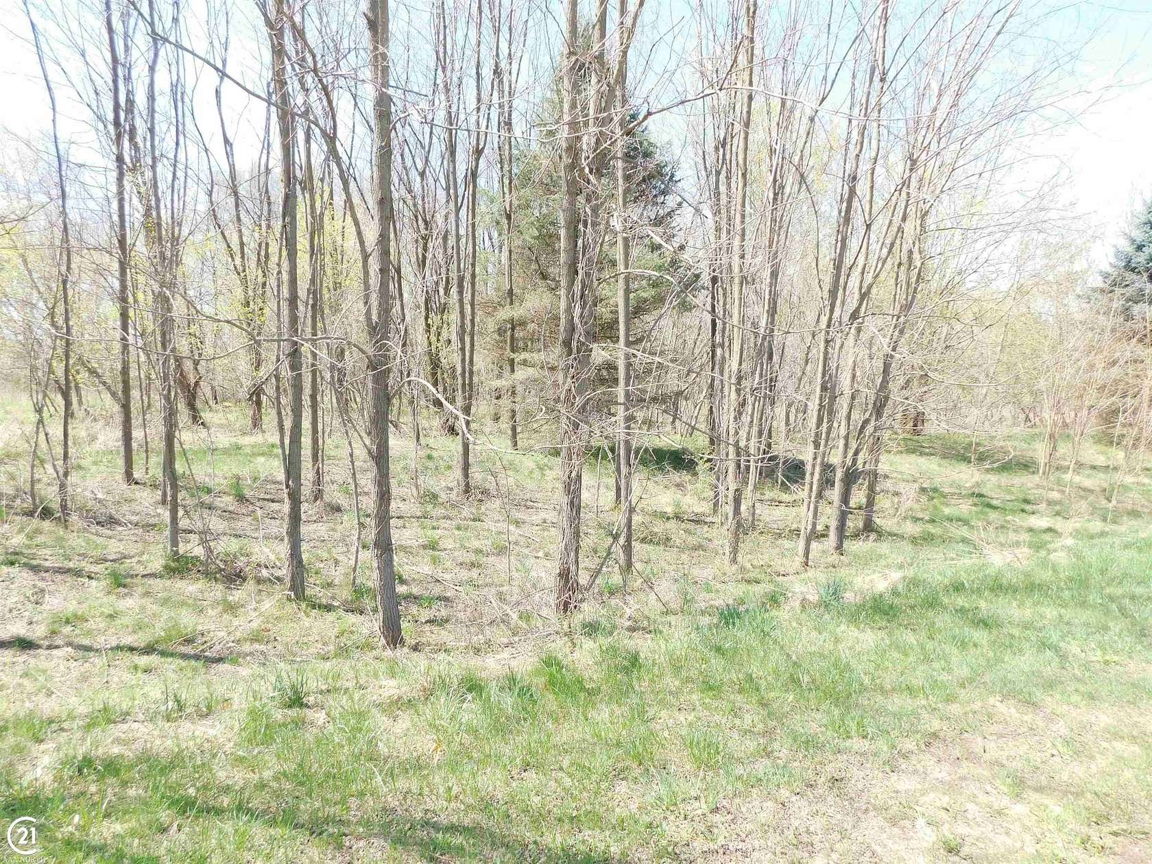 3.3 Acres of Residential Land for Sale in Dryden, Michigan