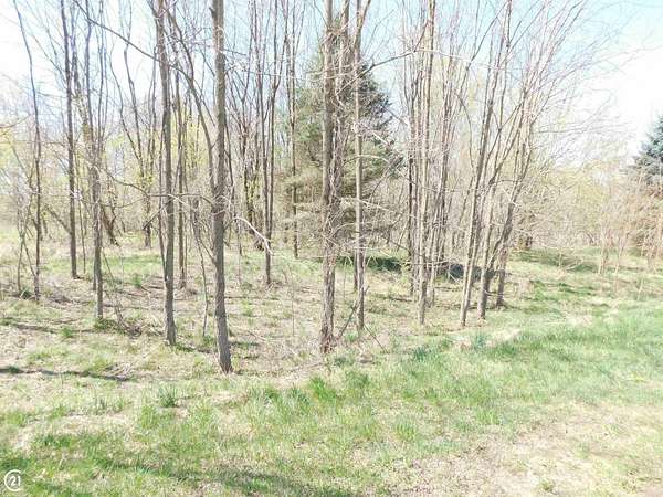 3.3 Acres of Residential Land for Sale in Dryden, Michigan