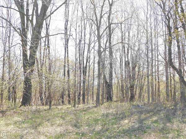 3.18 Acres of Residential Land for Sale in Dryden, Michigan