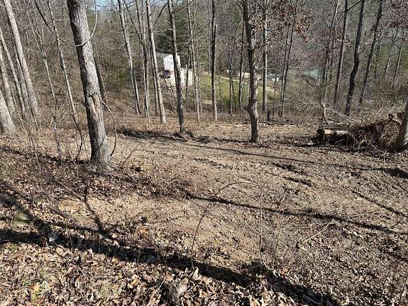 0.22 Acres of Residential Land for Sale in Van Buren, Missouri