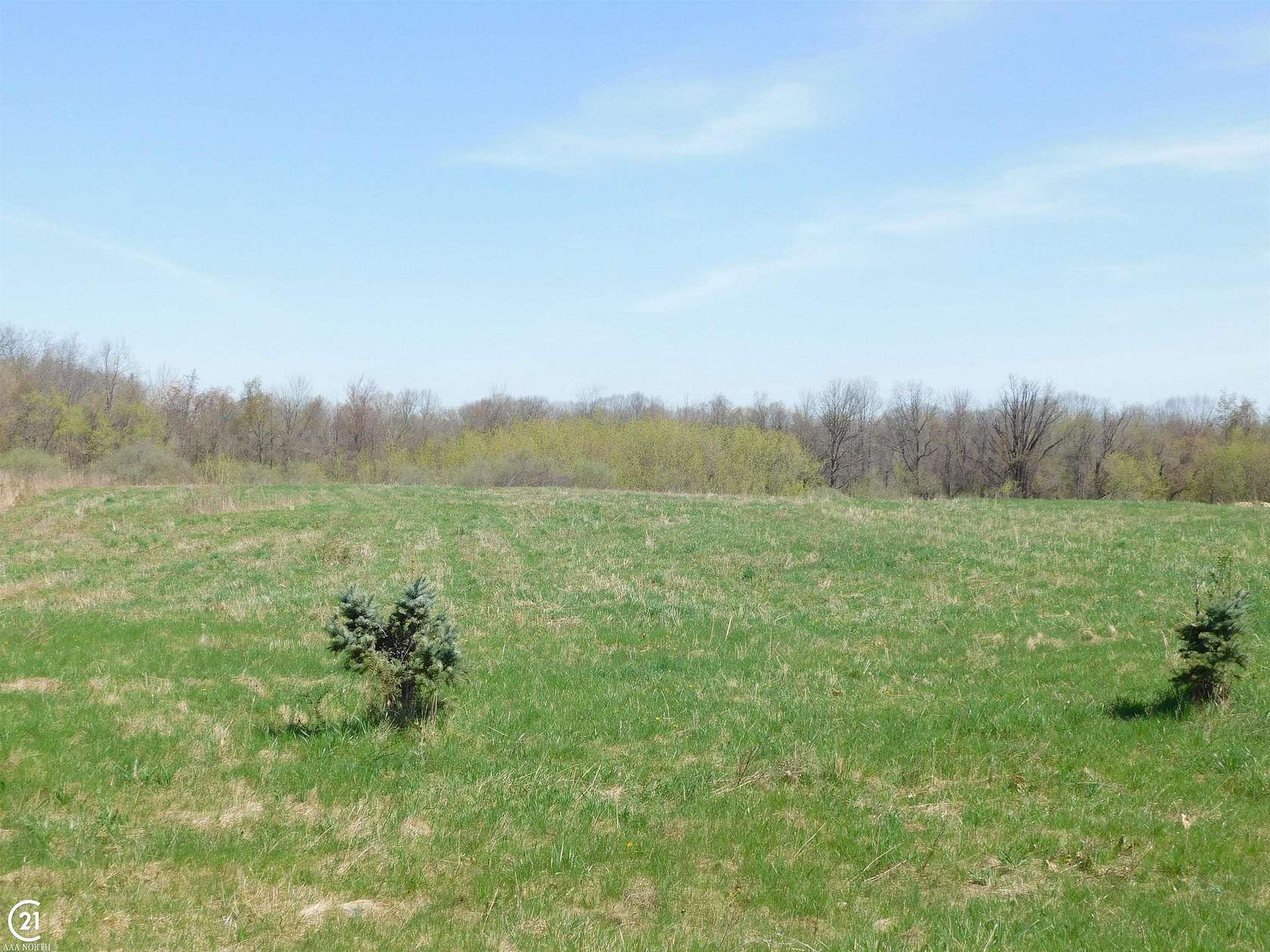 3 Acres of Residential Land for Sale in Dryden, Michigan