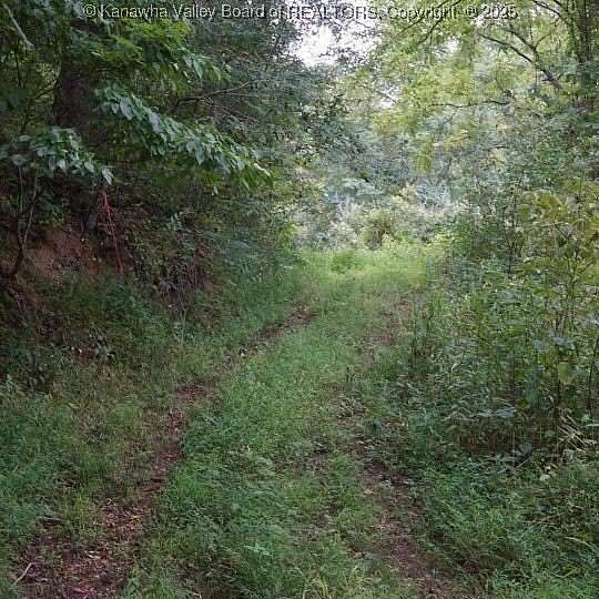 14 Acres of Land for Sale in Hurricane, West Virginia