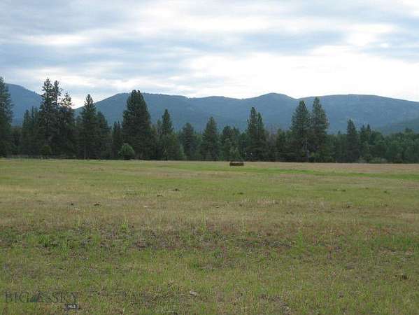 20 Acres of Agricultural Land for Sale in Seeley Lake, Montana