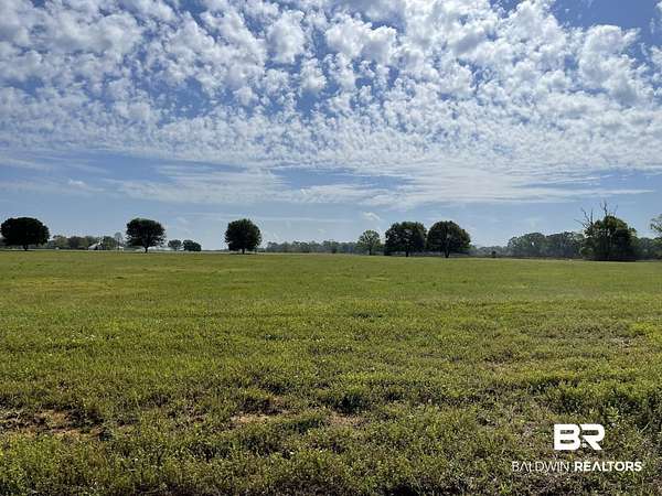 6.54 Acres of Residential Land for Sale in Robertsdale, Alabama