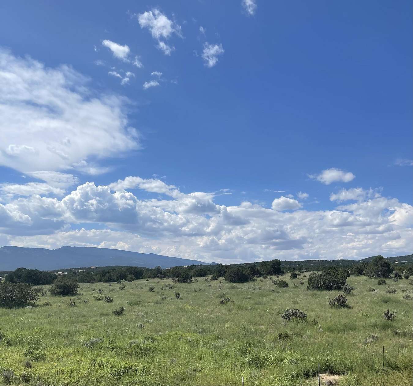 20.5 Acres of Recreational Land for Sale in Sandia Park, New Mexico