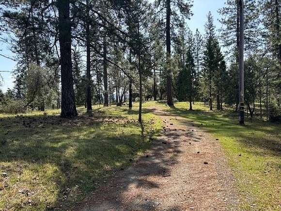41.5 Acres of Agricultural Land for Sale in Mokelumne Hill, California