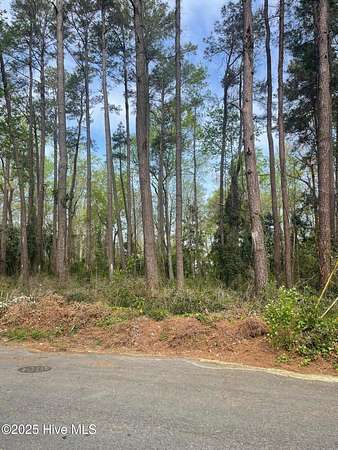 0.94 Acres of Residential Land for Sale in Kinston, North Carolina