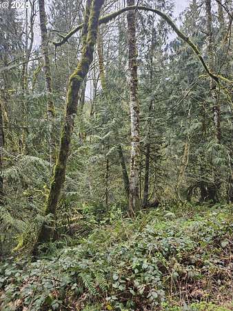 5 Acres of Residential Land for Sale in Kelso, Washington