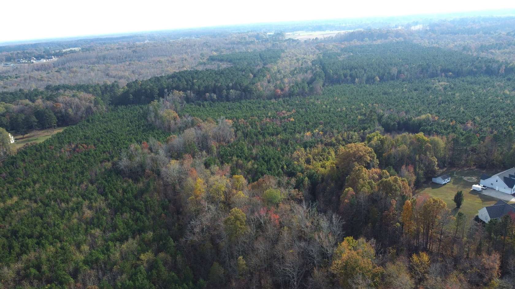 159 Acres of Recreational Land for Sale in Nashville, North Carolina