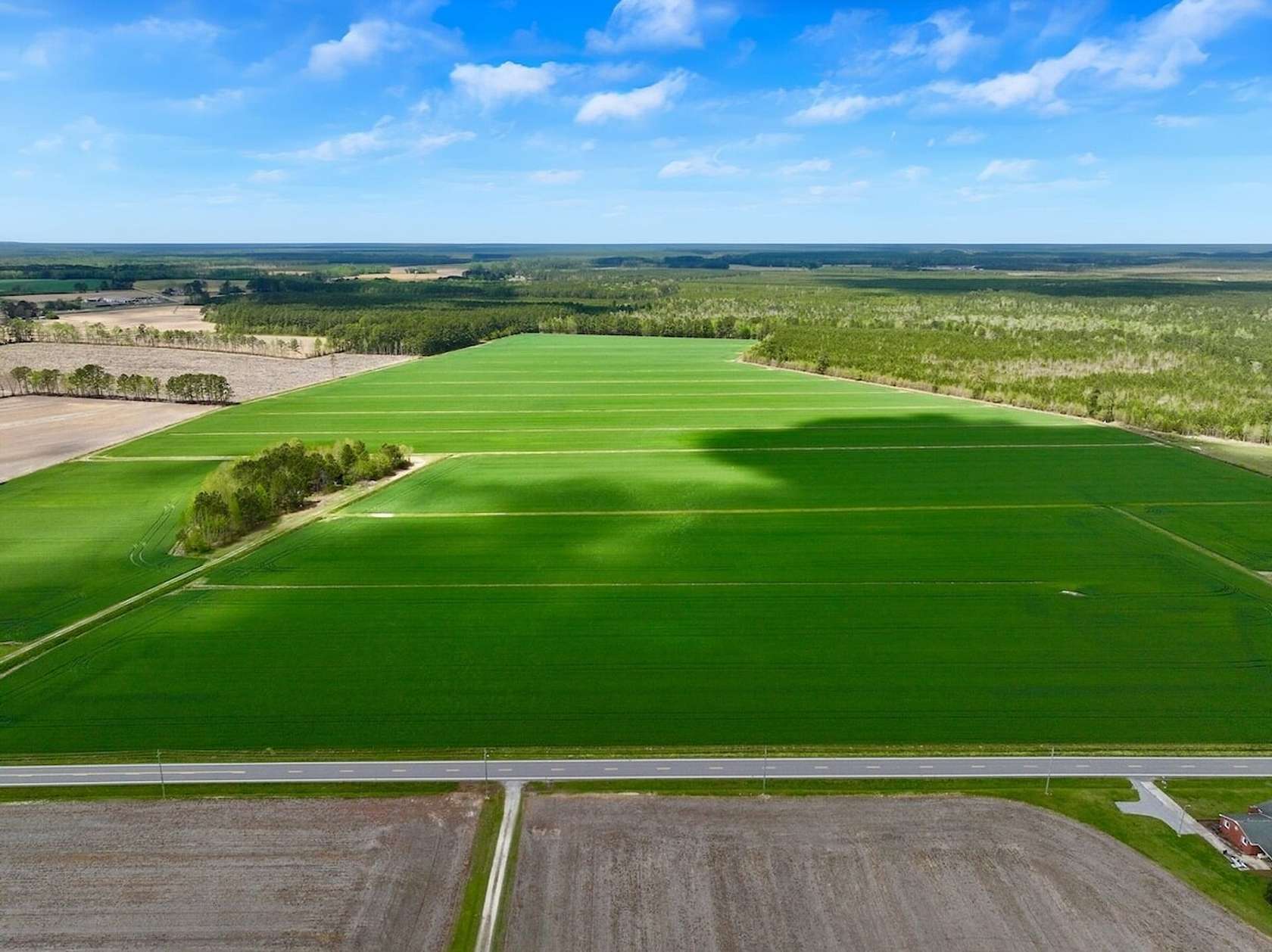 117 Acres of Recreational Land & Farm for Sale in Washington, North Carolina