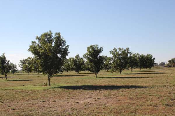 10 Acres of Land for Sale in Muleshoe, Texas