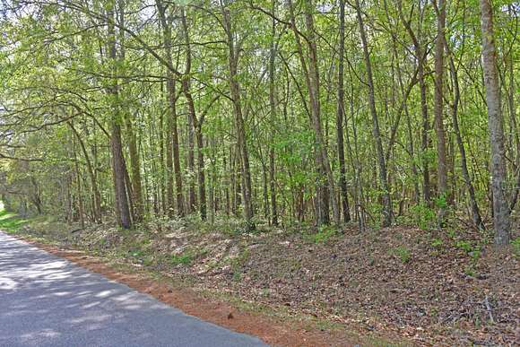 13.5 Acres of Land for Sale in St. Matthews, South Carolina