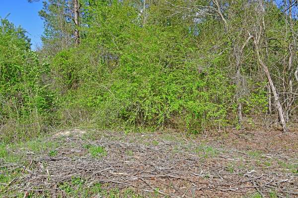 2.87 Acres of Residential Land for Sale in St. Matthews, South Carolina