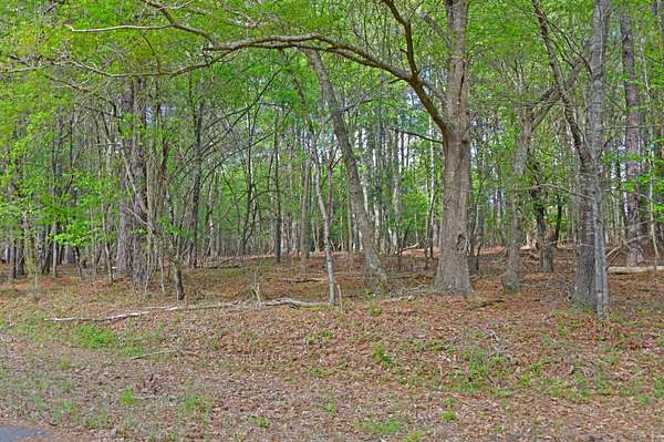 3.62 Acres of Residential Land for Sale in St. Matthews, South Carolina