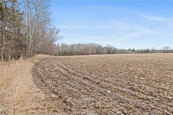 35 Acres of Land for Sale in Dalbo, Minnesota