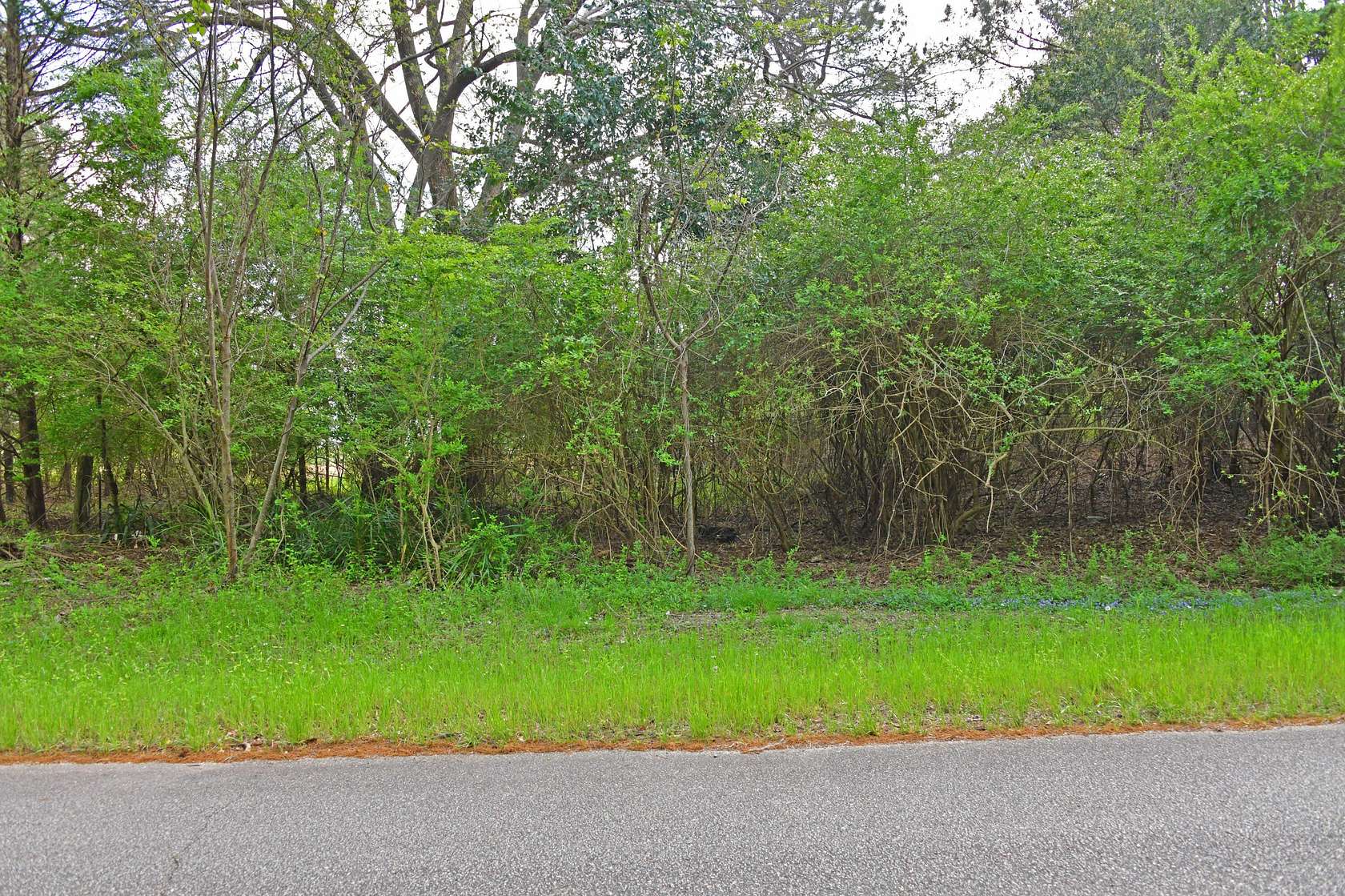 1.22 Acres of Residential Land for Sale in St. Matthews, South Carolina