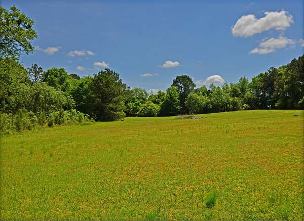 1.2 Acres of Residential Land for Sale in St. Matthews, South Carolina