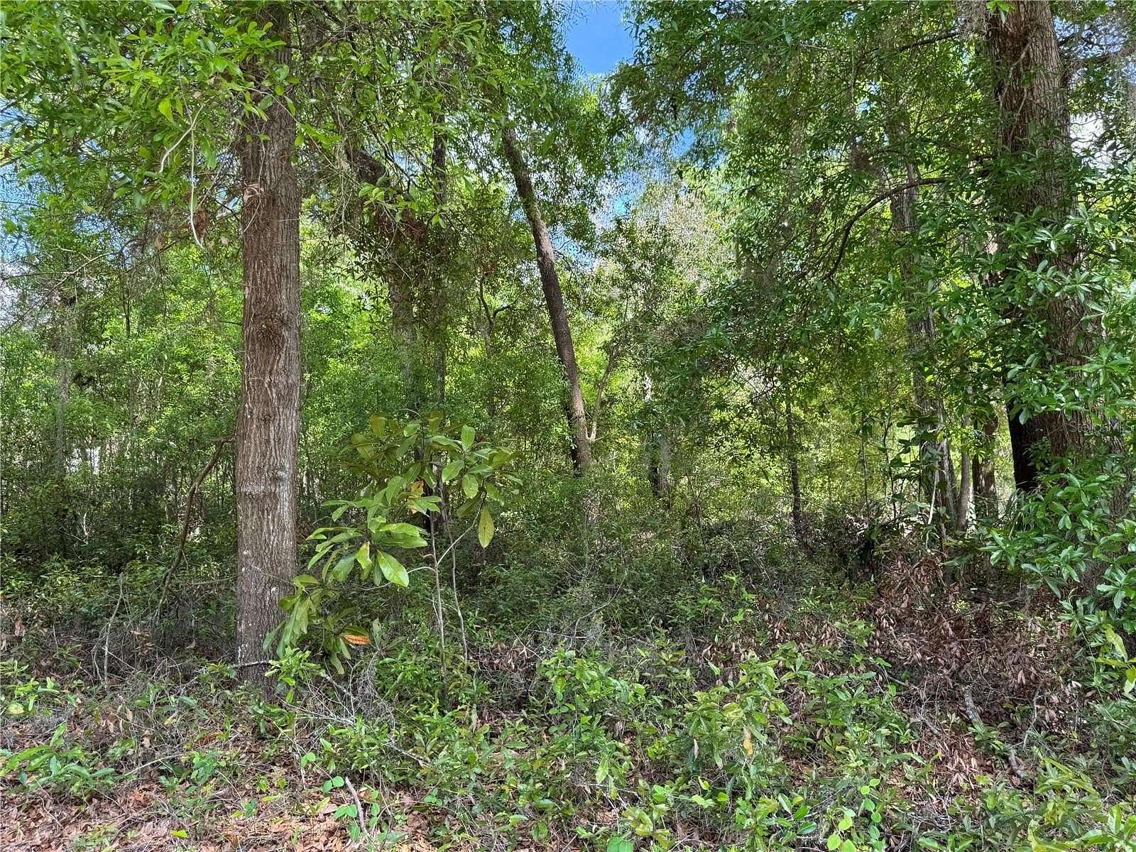 0.24 Acres of Residential Land for Sale in Dunnellon, Florida