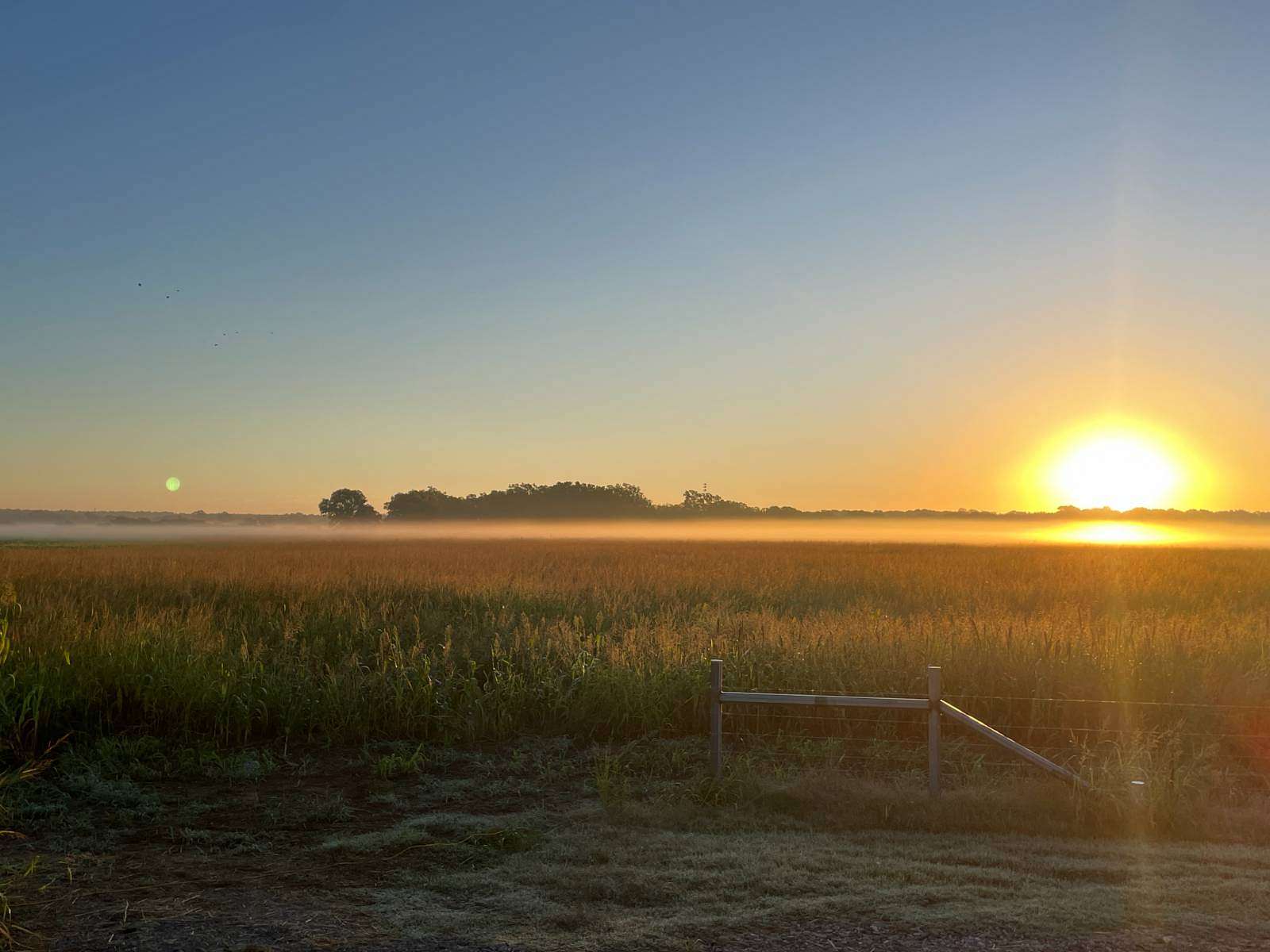 290 Acres of Agricultural Land for Sale in Pauls Valley, Oklahoma