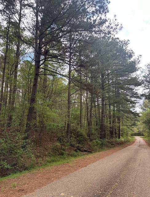 33.5 Acres of Recreational Land & Farm for Sale in Canton, Mississippi