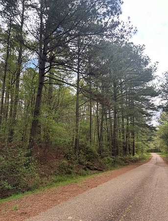 33.5 Acres of Recreational Land & Farm for Sale in Canton, Mississippi