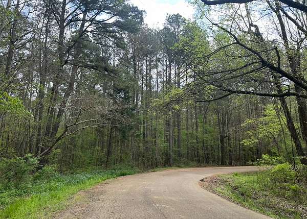 29 Acres of Recreational Land & Farm for Sale in Canton, Mississippi
