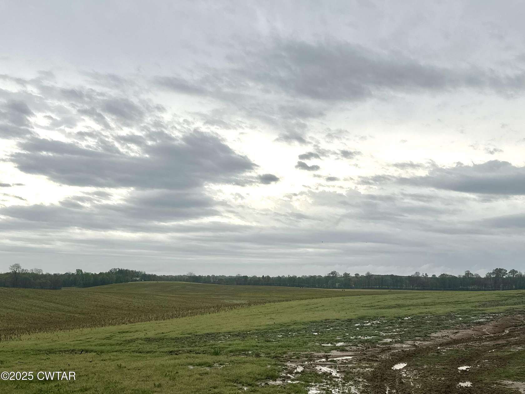 249 Acres of Agricultural Land for Sale in Dyersburg, Tennessee