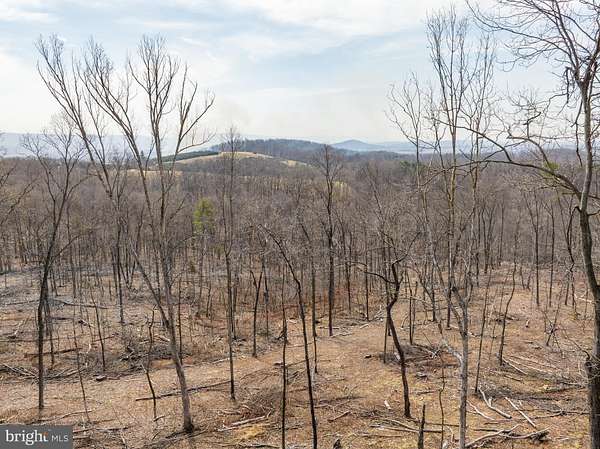 3 Acres of Residential Land for Sale in Mount Jackson, Virginia