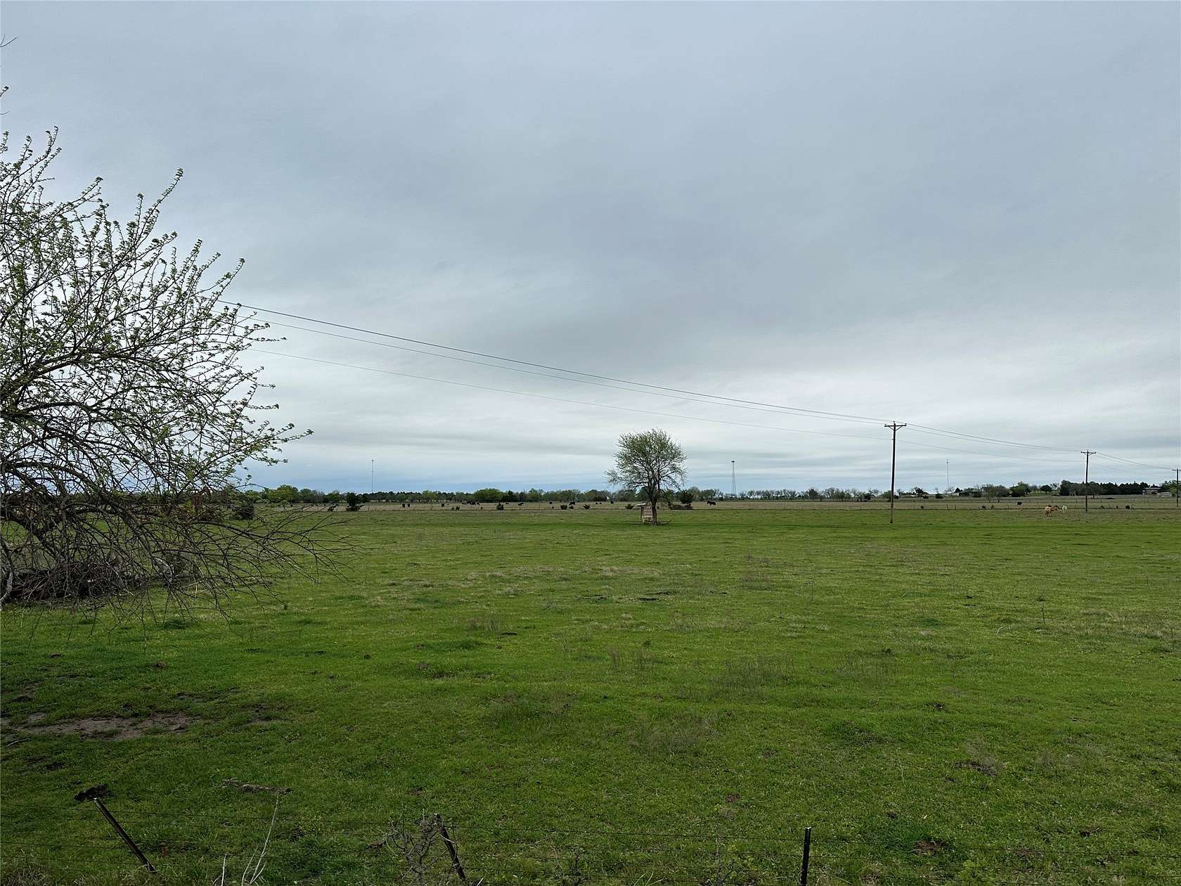 50 Acres of Agricultural Land for Sale in Whitesboro, Texas