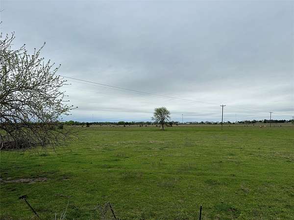 50 Acres of Agricultural Land for Sale in Whitesboro, Texas