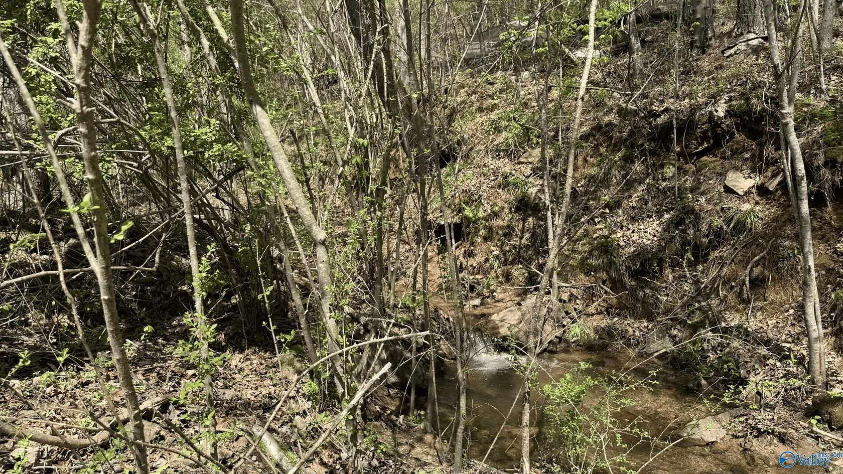 8.28 Acres of Residential Land for Sale in Collinsville, Alabama