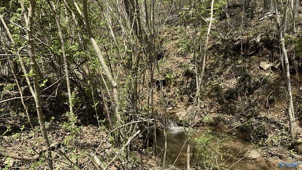 8.28 Acres of Residential Land for Sale in Collinsville, Alabama