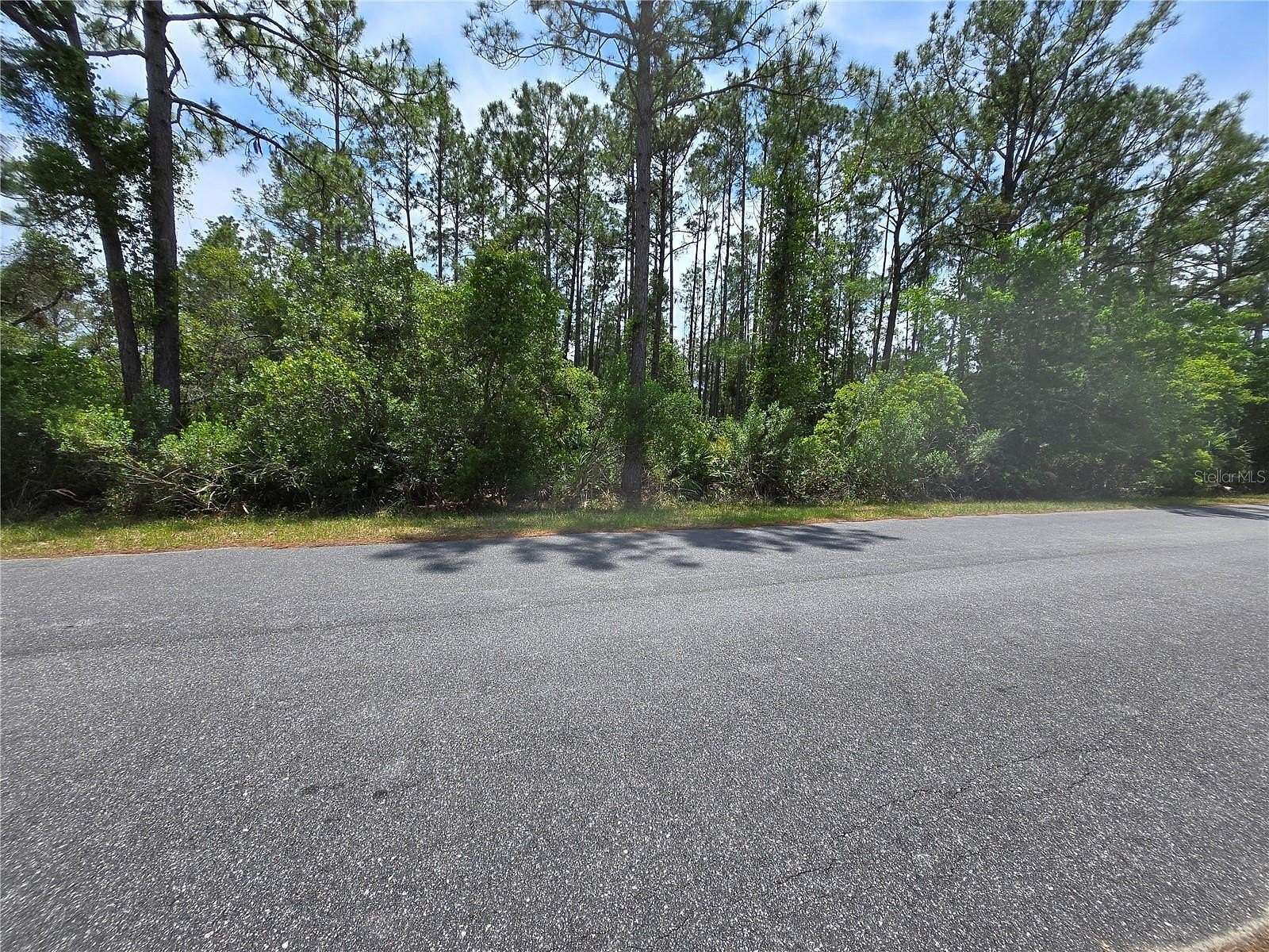 1 Acre of Residential Land for Sale in Eustis, Florida