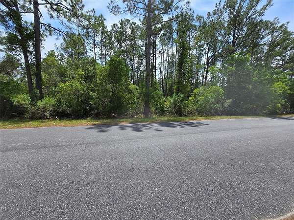 1 Acre of Residential Land for Sale in Eustis, Florida