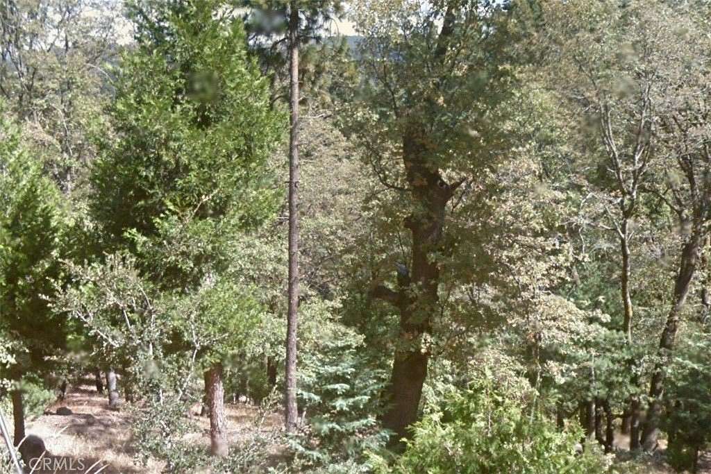0.07 Acres of Residential Land for Sale in Cedarpines Park, California