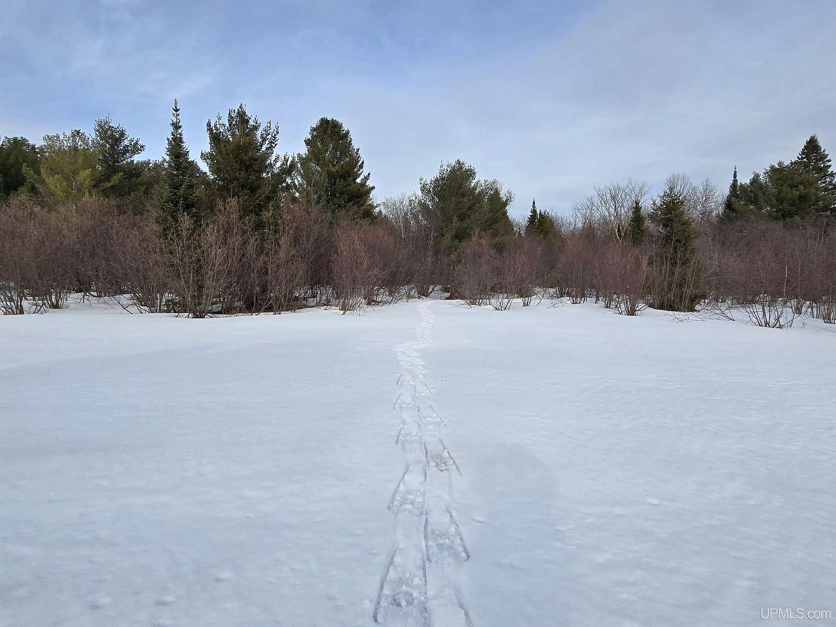 9.2 Acres of Residential Land for Sale in Greenland, Michigan