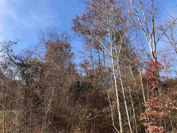0.95 Acres of Residential Land for Sale in Rogersville, Tennessee