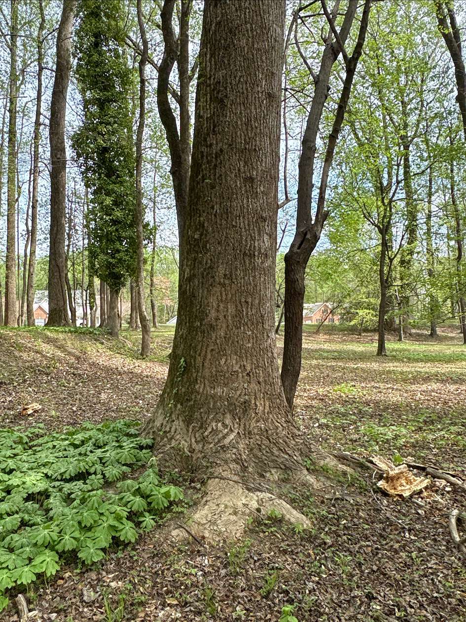 0.93 Acres of Residential Land for Sale in Washington, North Carolina