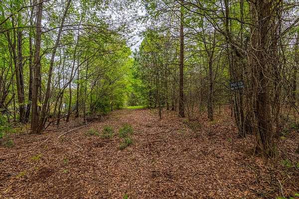 38.5 Acres of Land for Sale in Gaffney, South Carolina