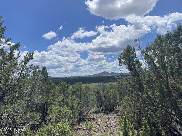 1 Acre of Land for Sale in Vernon, Arizona