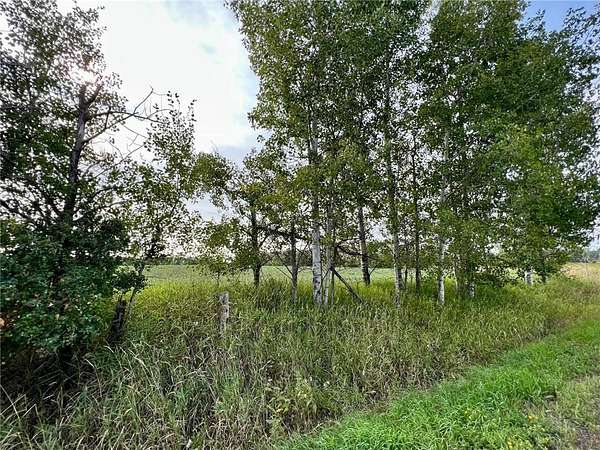 10 Acres of Land for Sale in Hugo, Minnesota