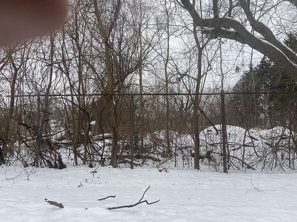 0.2 Acres of Land for Sale in Detroit, Michigan