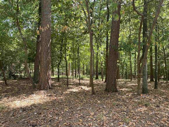 0.49 Acres of Residential Land for Sale in Holly Lake Ranch, Texas