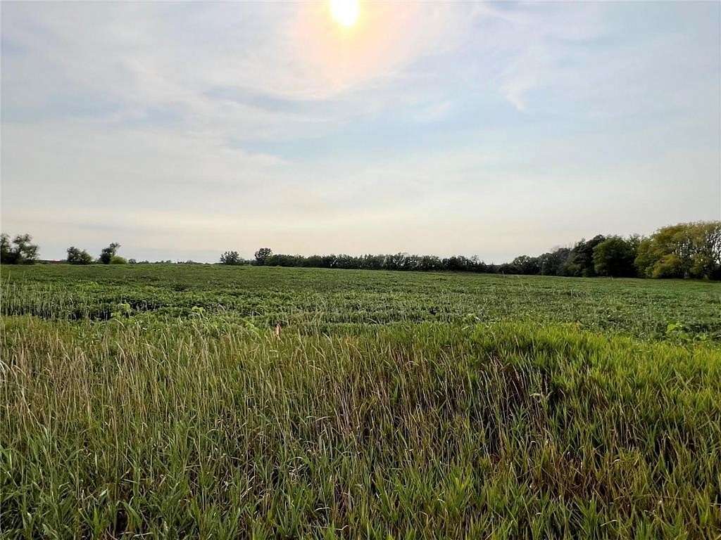 10 Acres of Land for Sale in Hugo, Minnesota