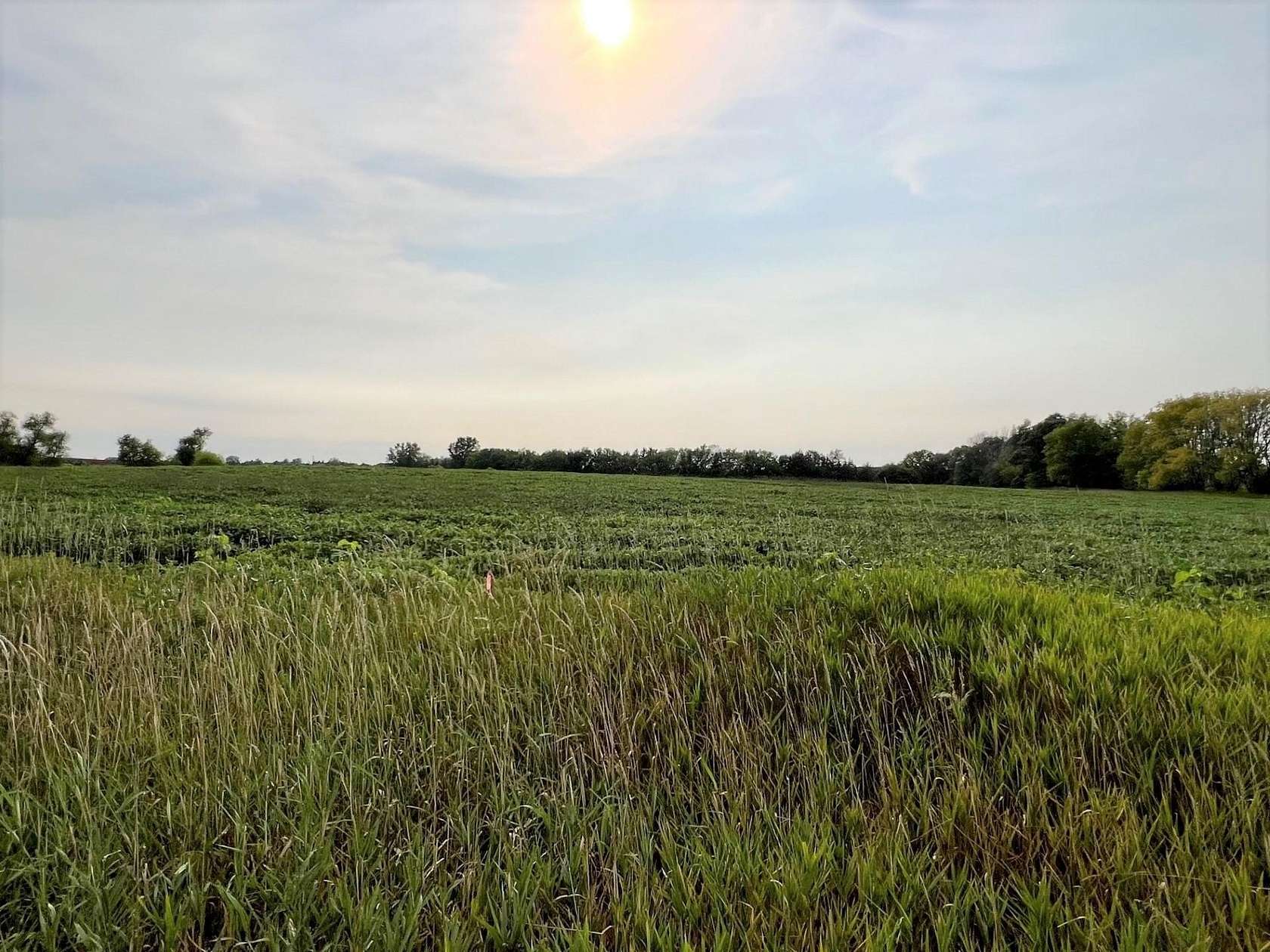 10 Acres of Residential Land for Sale in Hugo, Minnesota