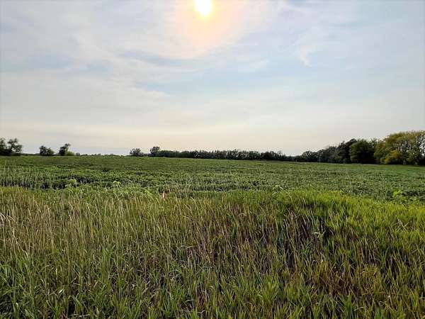 10 Acres of Residential Land for Sale in Hugo, Minnesota