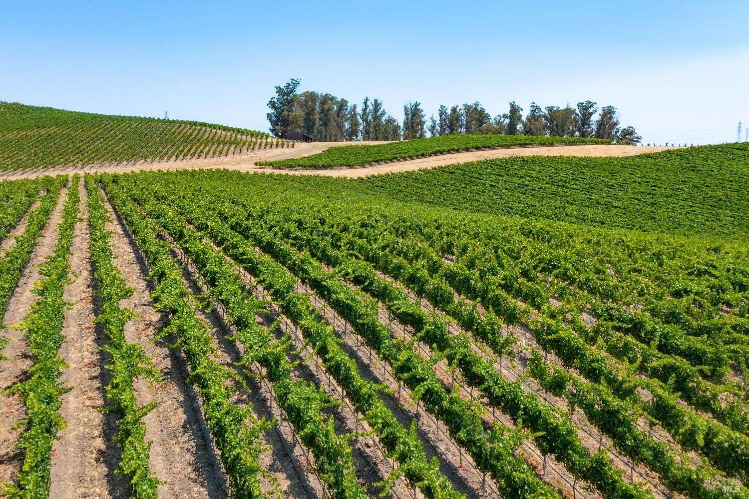 90.7 Acres of Agricultural Land for Sale in Petaluma, California