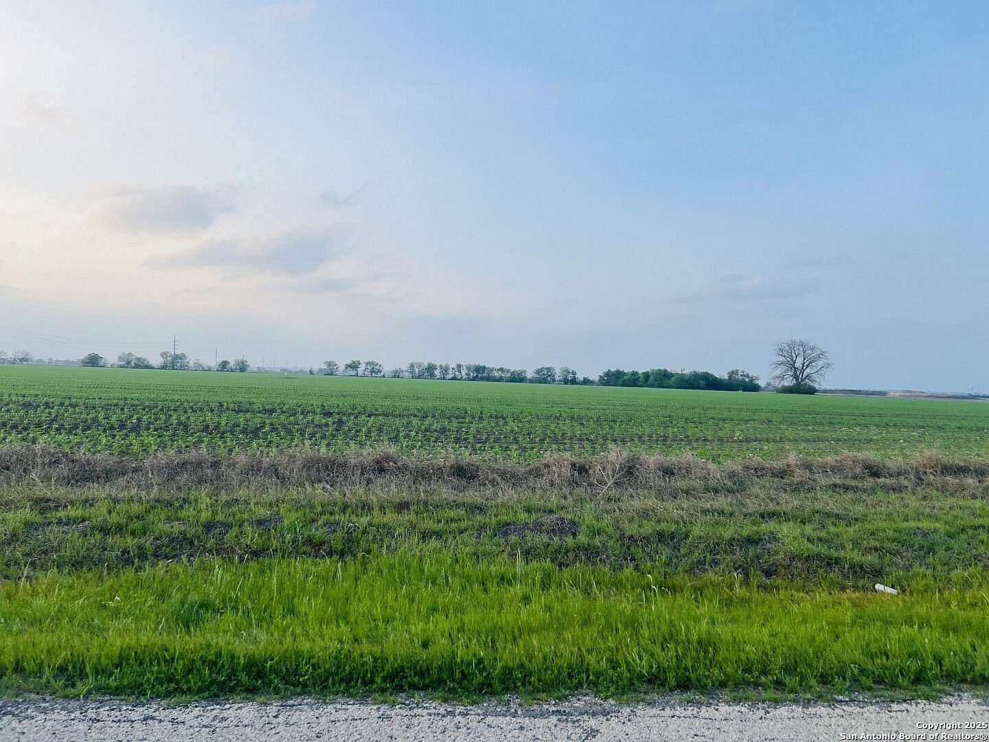 1.25 Acres of Residential Land for Sale in Marion, Texas