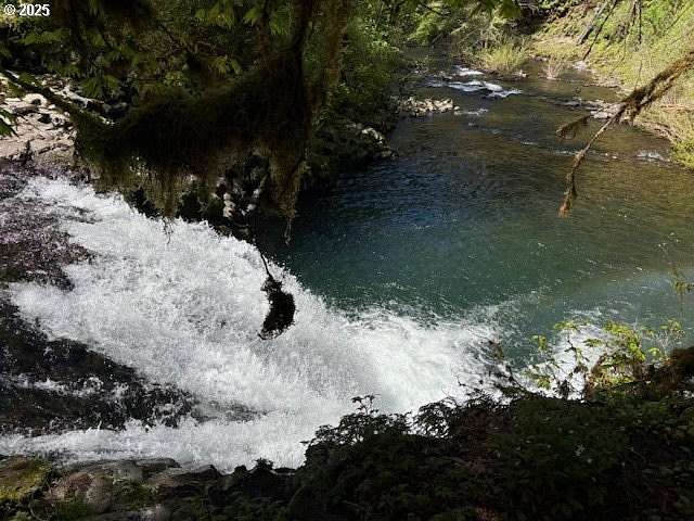 161 Acres of Recreational Land for Sale in Scotts Mills, Oregon